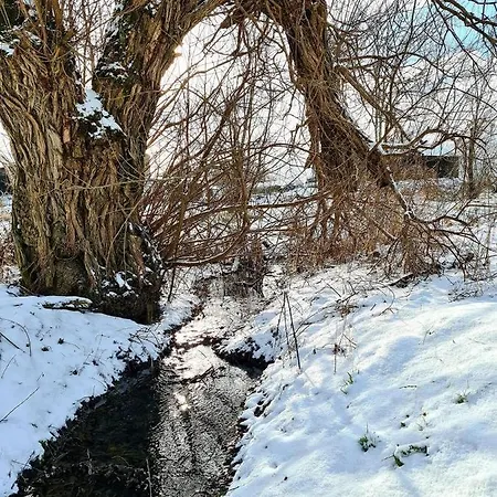 Apartmán Mieszkanie Nad Jeziorem *